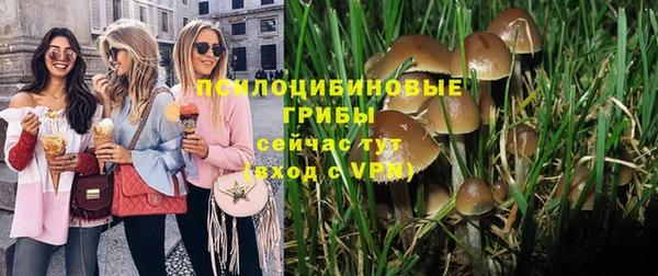 гашиш Белокуриха