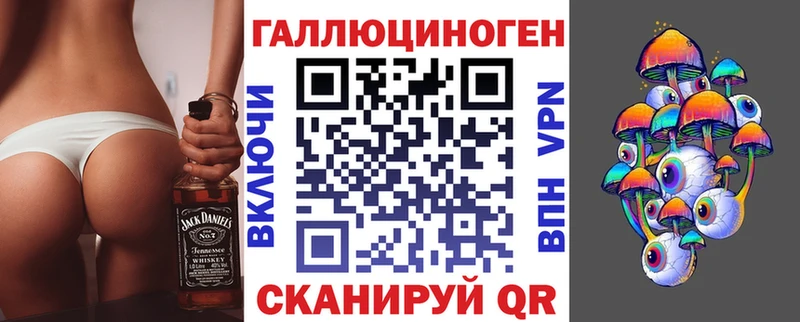 где купить   Ильский  Галлюциногенные грибы Magic Shrooms 